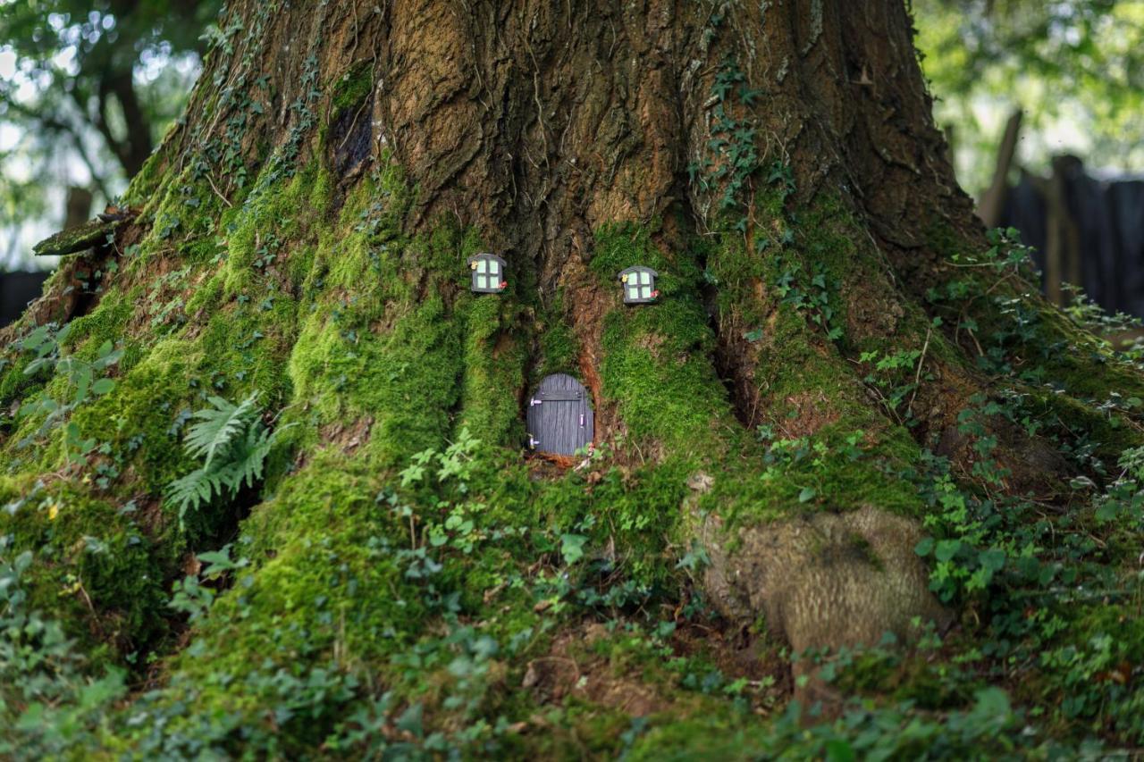 Finca La Peniga Маскуэррас Экстерьер фото